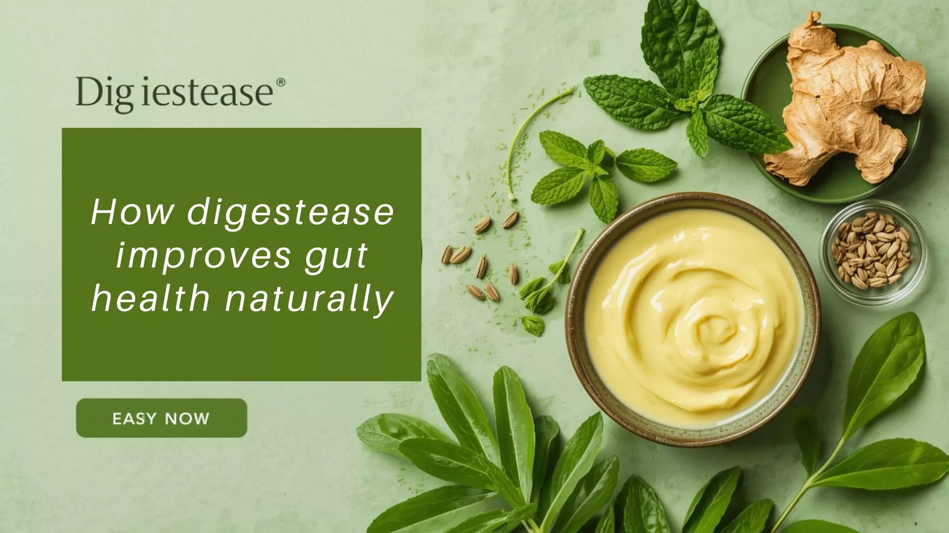 How digestease improves gut health naturally – Organic Tribe